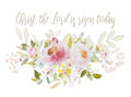Image Not Available